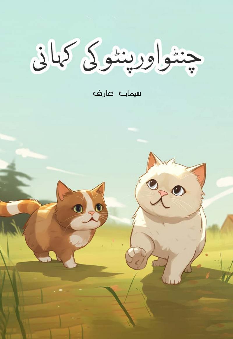 Book cover for Chintu Aur Pintu ki Kahani