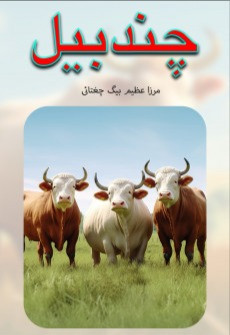 Book cover for Book stat 4