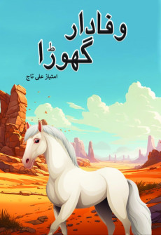 Book cover for second testing book