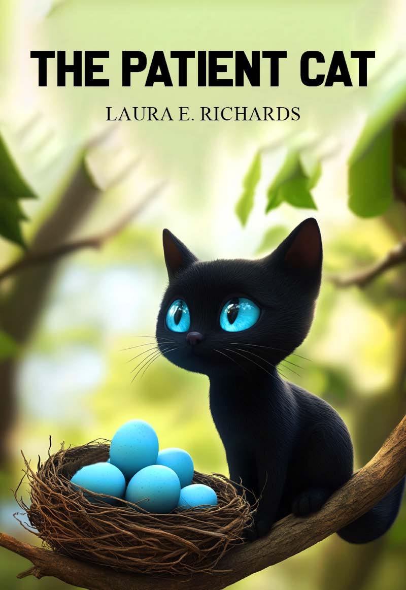 Book cover for The Patient Cat